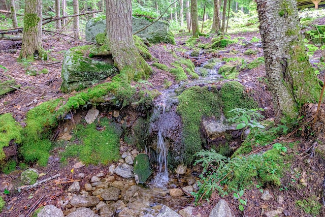 134 Valhalla Ln, Norway, ME 04268 - view of local wilderness