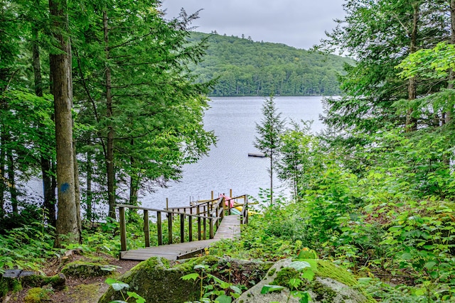 134 Valhalla Ln, Norway, ME 04268 - water view with a heavily wooded area and a dock