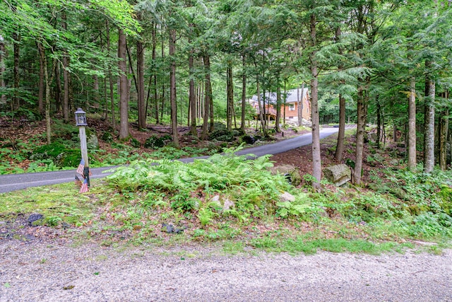 134 Valhalla Ln, Norway, ME 04268 - view of yard