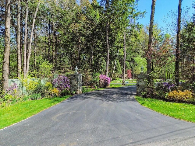 22 Lindas Way, Manchester, ME 04351 - view of asphalt driveway with street lights
