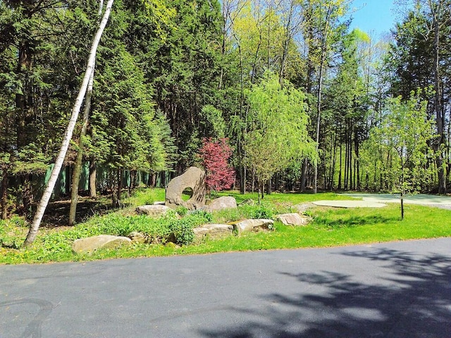 22 Lindas Way, Manchester, ME 04351 - view of community featuring a forest view