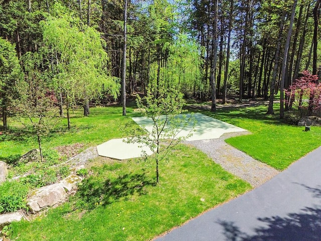 22 Lindas Way, Manchester, ME 04351 - view of property's community with a yard and a view of trees