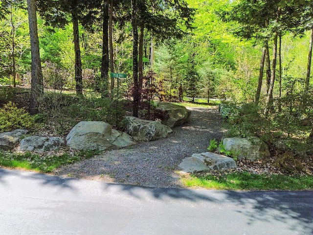 22 Lindas Way, Manchester, ME 04351 - view of yard with a forest view