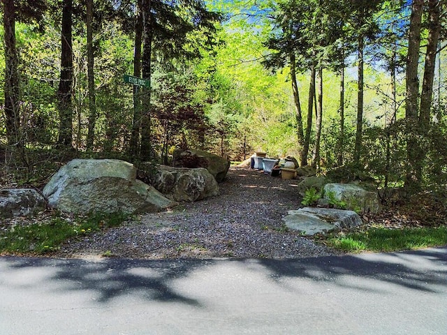 22 Lindas Way, Manchester, ME 04351 - view of yard featuring a view of trees