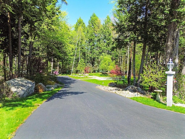 22 Lindas Way, Manchester, ME 04351 - view of asphalt street featuring a wooded view and street lighting