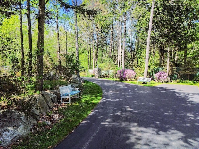 22 Lindas Way, Manchester, ME 04351 - view of asphalt road