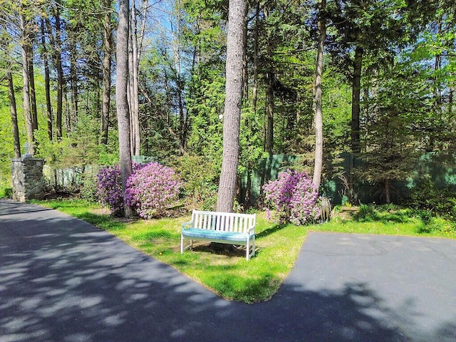 22 Lindas Way, Manchester, ME 04351 - view of community featuring fence