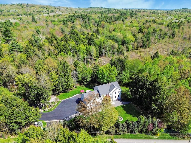 22 Lindas Way, Manchester, ME 04351 - view of subject property featuring a heavily wooded area