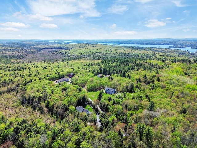 22 Lindas Way, Manchester, ME 04351 - aerial view of a forest