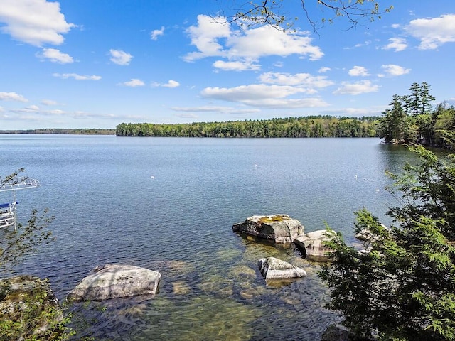 66 Brickett Point Ests, Oakland, ME 04963 - water view featuring a forest