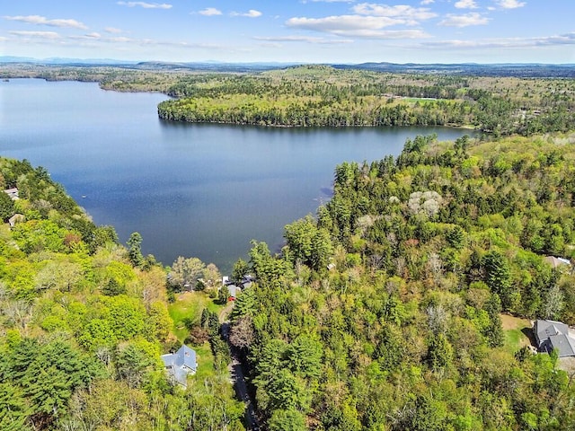 66 Brickett Point Ests, Oakland, ME 04963 - bird's eye view of a forest and a large body of water