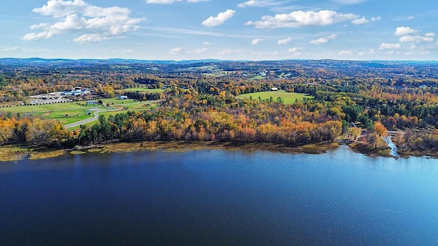 194 Birch Ln, Unity, ME 04988 - bird's eye view of a nearby body of water and a heavily wooded area