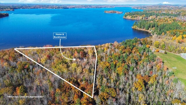 194 Birch Ln, Unity, ME 04988 - aerial view of property and surrounding area with a large body of water and a heavily wooded area