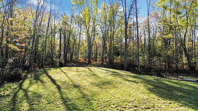 194 Birch Ln, Unity, ME 04988 - view of grassy yard with a view of trees