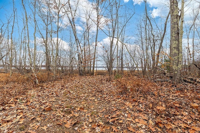 194 Birch Ln, Unity, ME 04988 - view of undeveloped land