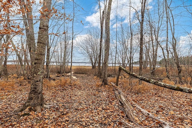 194 Birch Ln, Unity, ME 04988 - view of yard