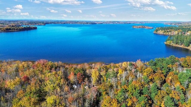 194 Birch Ln, Unity, ME 04988 - bird's eye view of a forest and a nearby body of water