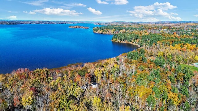 194 Birch Ln, Unity, ME 04988 - bird's eye view of a heavily wooded area and a nearby body of water
