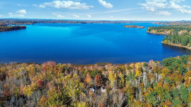 194 Birch Ln, Unity, ME 04988 - drone / aerial view of a large body of water and a forest
