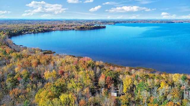 194 Birch Ln, Unity, ME 04988 - aerial view of a forest and a nearby body of water