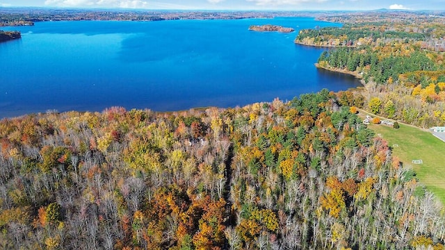 194 Birch Ln, Unity, ME 04988 - view of property location featuring a forest and a nearby body of water