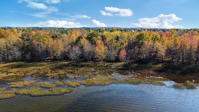 194 Birch Ln, Unity, ME 04988 - aerial view of a forest and a nearby body of water