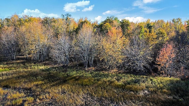 194 Birch Ln, Unity, ME 04988 - view of wooded area