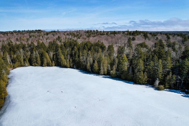 M19L13-C Halls Mills Rd, Whiting, ME 04691