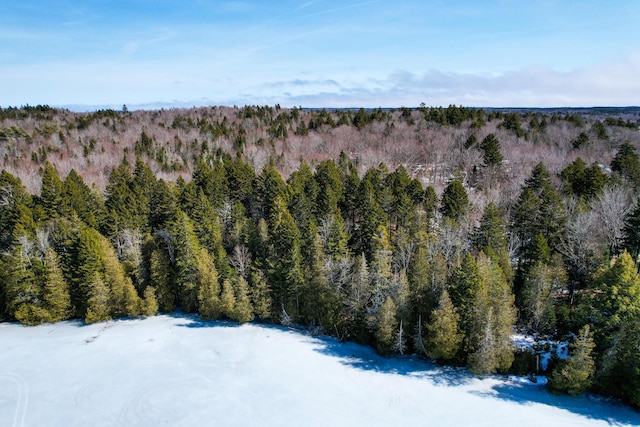 M19L13-C Halls Mills Rd, Whiting, ME 04691