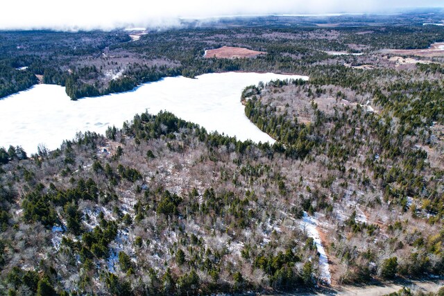 M19L13-C Halls Mills Rd, Whiting, ME 04691