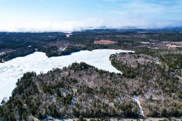 M19L13-C Halls Mills Rd, Whiting, ME 04691