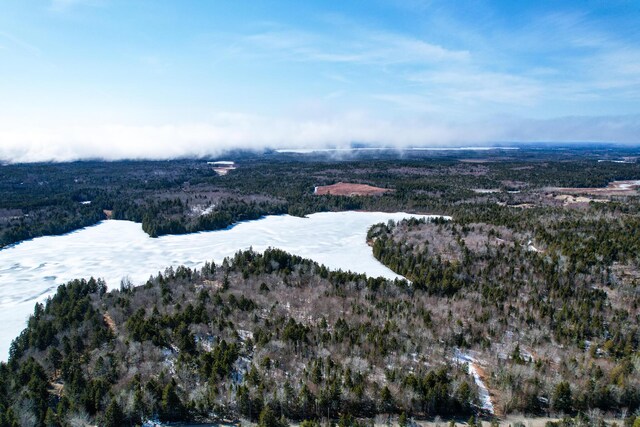 M19L13-C Halls Mills Rd, Whiting, ME 04691