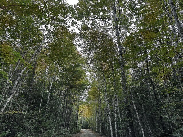 LOT11-1 Carry Ridge Rd, Northfield, ME 04686 - photo 1