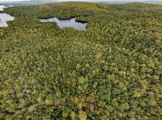 LOT11-1 Carry Ridge Rd, Northfield, ME 04686 - photo 3