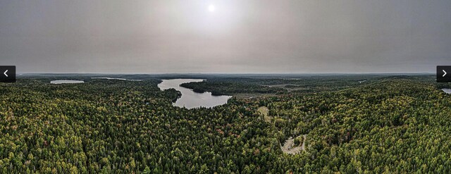 LOT11-1 Carry Ridge Rd, Northfield, ME 04686 - photo 6