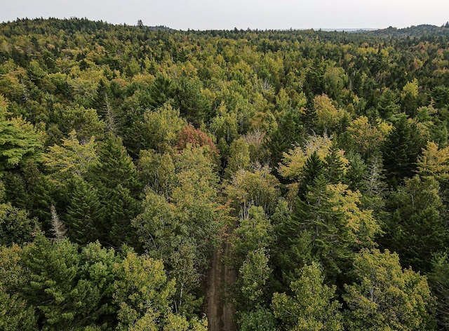LOT11-1 Carry Ridge Rd, Northfield, ME 04686 - photo 7