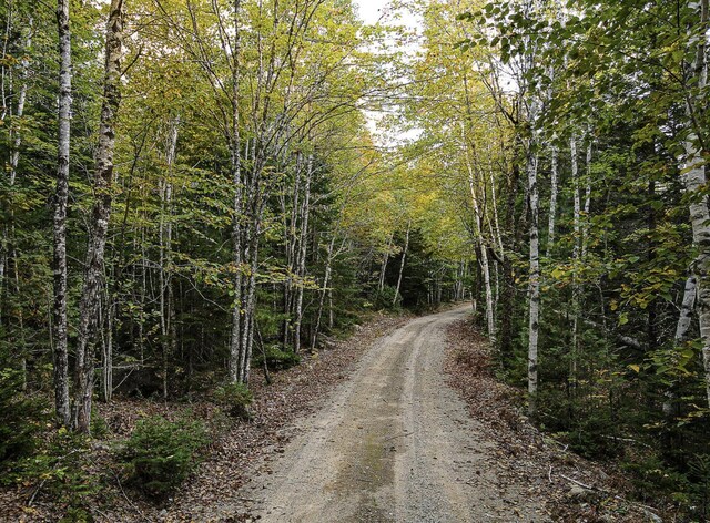 LOT11-1 Carry Ridge Rd, Northfield, ME 04686 - photo 4