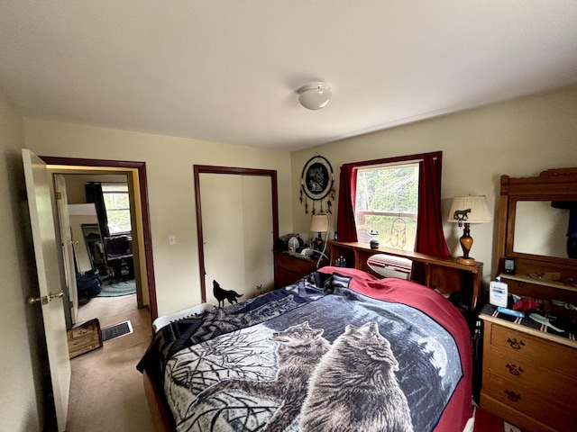 3 Rush Blvd, Millinocket, ME 04462 - bedroom featuring carpet floors and a closet