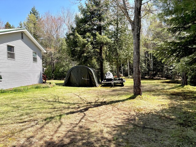 3 Rush Blvd, Millinocket, ME 04462 - view of green lawn