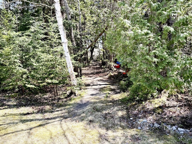 3 Rush Blvd, Millinocket, ME 04462 - view of street