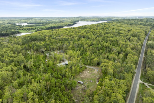 70 Lions Ridge Dr, Alna, ME 04535 - bird's eye view of a heavily wooded area and a large body of water