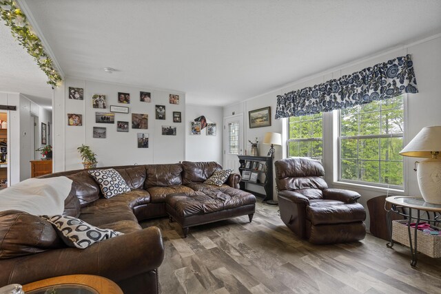 70 Lions Ridge Dr, Alna, ME 04535 - living room featuring wood finished floors