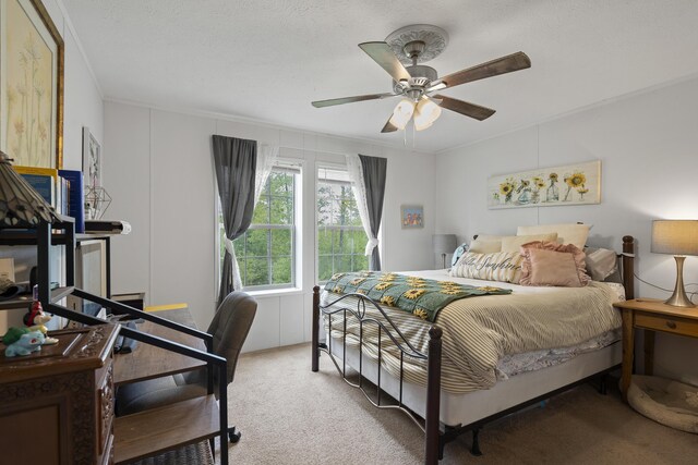 70 Lions Ridge Dr, Alna, ME 04535 - bedroom with light carpet, a ceiling fan, and ornamental molding