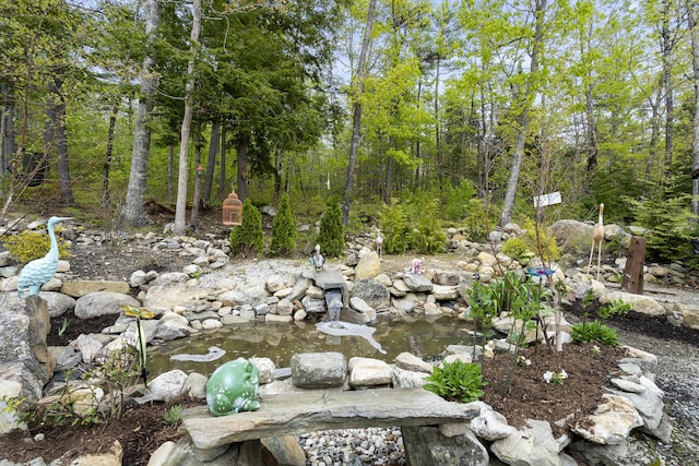 70 Lions Ridge Dr, Alna, ME 04535 - view of yard