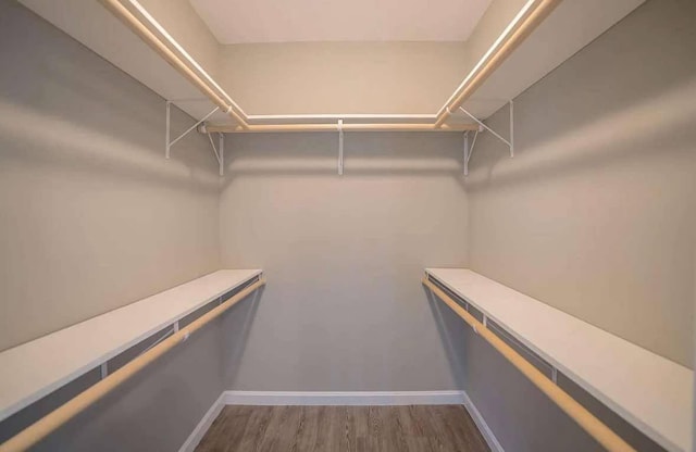 26 Stearns Farm Rd, Hampden, ME 04444 - walk in closet with wood finished floors