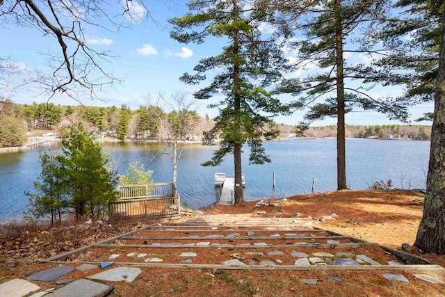 dock area with a water view