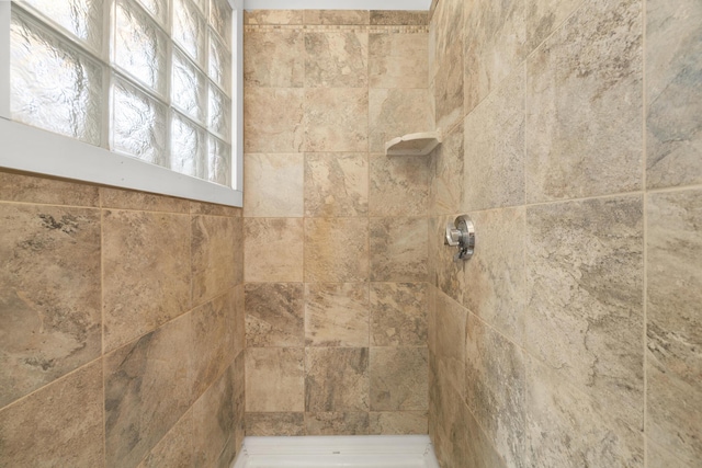 832 Main Rd, Islesboro, ME 04848 - bathroom view of a tile shower