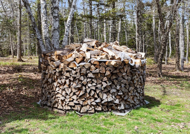 832 Main Rd, Islesboro, ME 04848 - view of yard with a forest view
