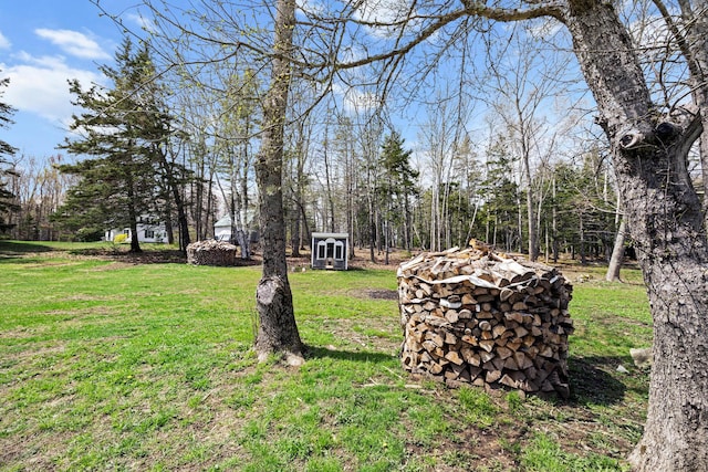 832 Main Rd, Islesboro, ME 04848 - view of green lawn featuring a storage unit and an outdoor structure