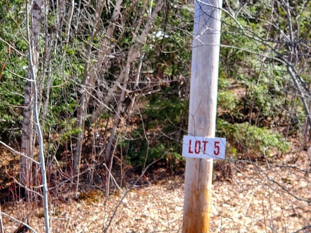 LOT51 Indian Hill Ln, Frankfort, ME 04438